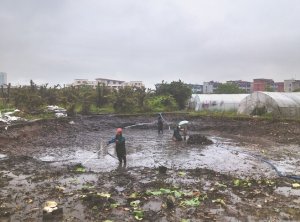 勃利河道鱼塘清淤
